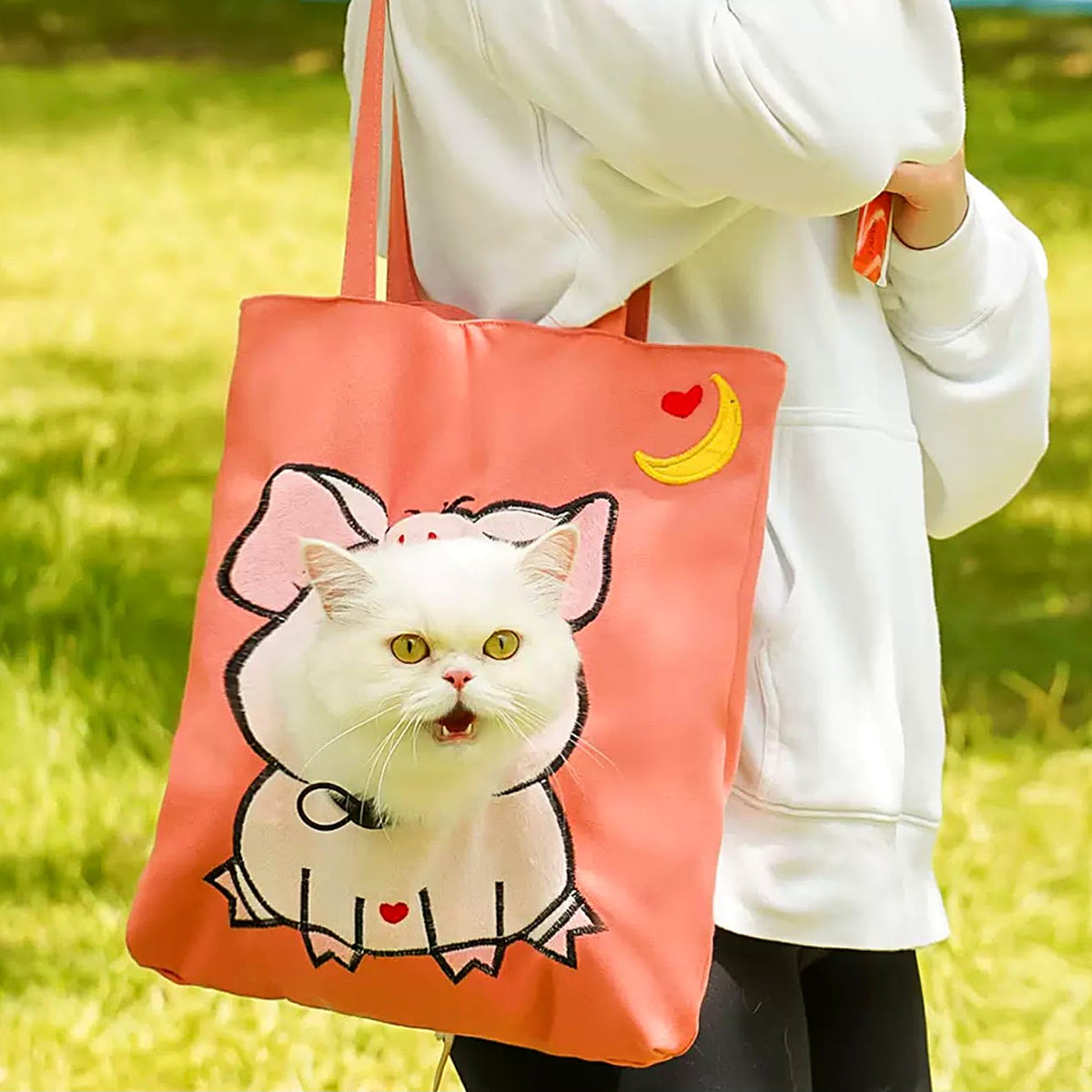 Piggy design
